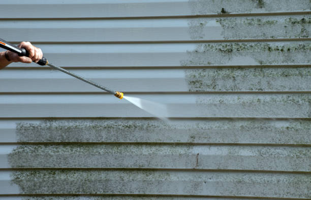Best Exterior Home Cleaning  in Colonial Heights, TN