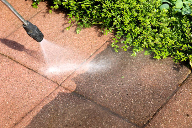 Best House Pressure Washing  in Colonial Heights, TN